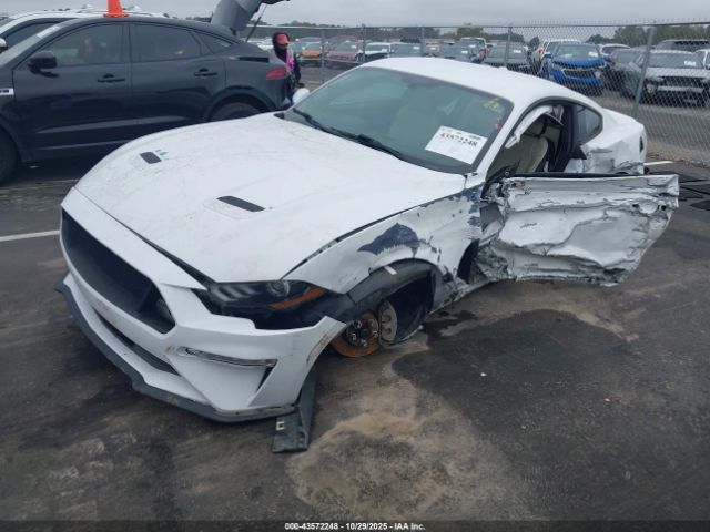 2019 FORD MUSTANG 1FA6P8TH4K5119557 Photo 1