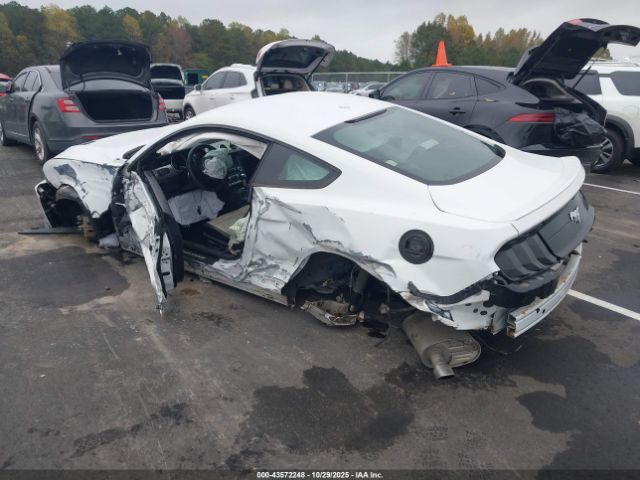 2019 FORD MUSTANG 1FA6P8TH4K5119557 Photo 2