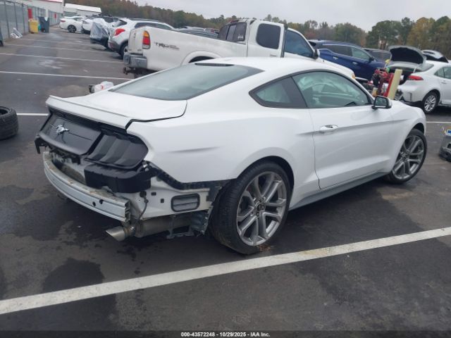 2019 FORD MUSTANG 1FA6P8TH4K5119557 Photo 3