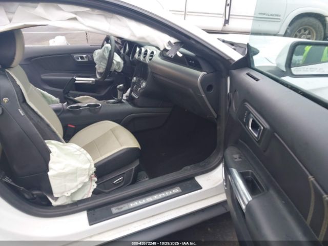 2019 FORD MUSTANG 1FA6P8TH4K5119557 Photo 4