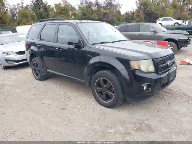 2009 FORD ESCAPE 1FMCU93G89KB86706