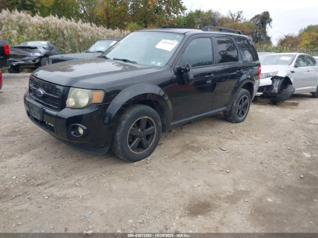 2009 FORD ESCAPE 1FMCU93G89KB86706 Photo 1