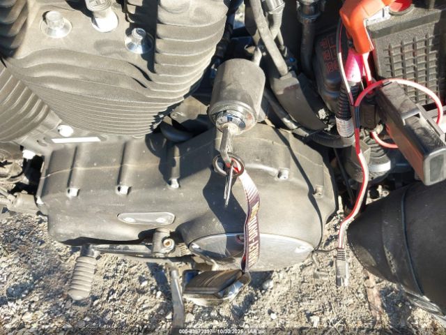 2013 HARLEY-DAVIDSON XL1200 1HD1LC313DC404348 Photo 10