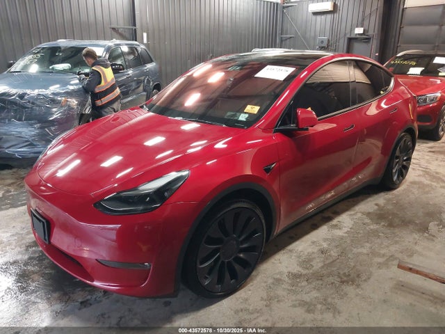 2023 TESLA MODEL Y 7SAYGDEF6PF925397 Photo 1