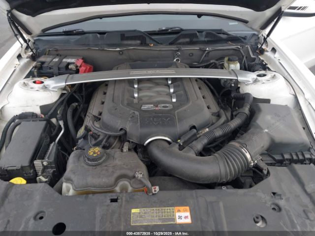 2013 FORD MUSTANG 1ZVBP8FF8D5215548 Photo 9