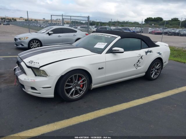 2013 FORD MUSTANG 1ZVBP8FF8D5215548 Photo 1