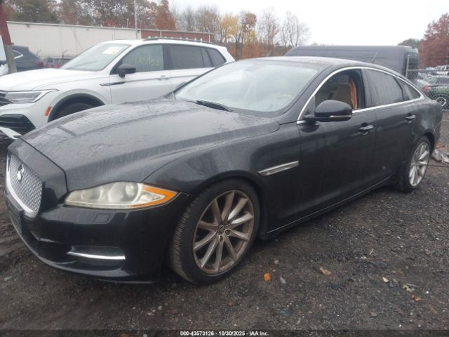 2012 JAGUAR XJ SAJWA1CB7CLV30528 Photo 1