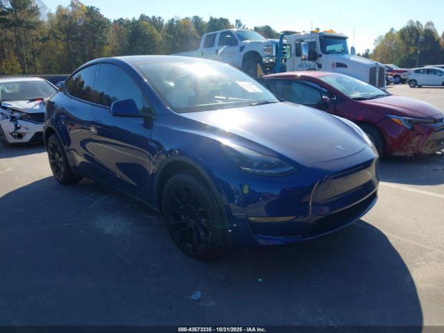 2023 TESLA MODEL Y 7SAYGDEE6PF804134 Photo 0