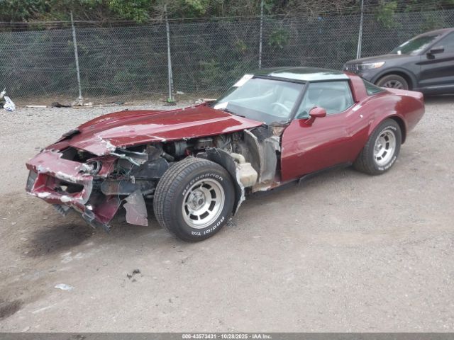 1981 CHEVROLET CORVETTE 1G1AY8762BS409252 Photo 1