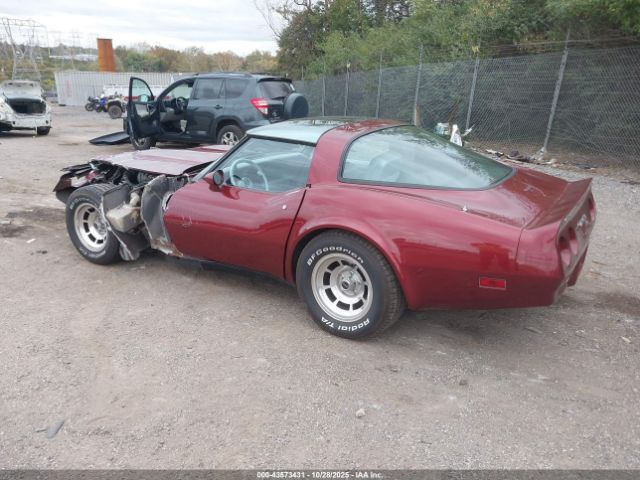 1981 CHEVROLET CORVETTE 1G1AY8762BS409252 Photo 2