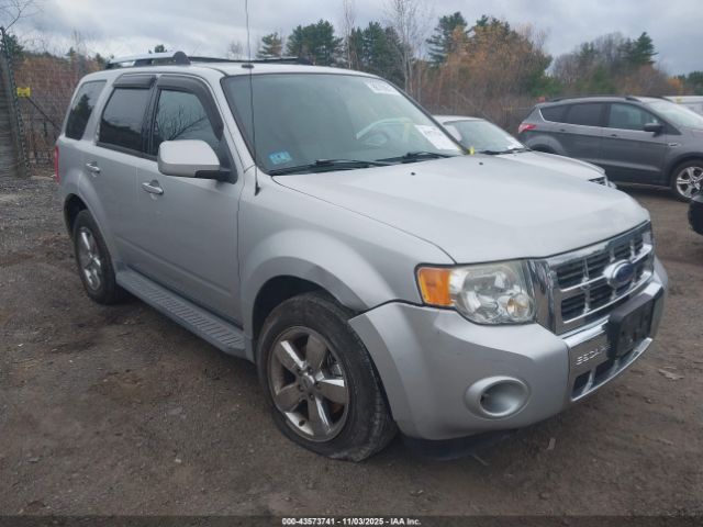 2009 FORD ESCAPE 1FMCU04G39KA92288