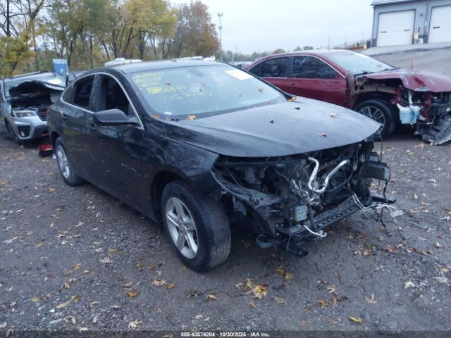 2019 CHEVROLET MALIBU 1G1ZB5ST2KF192441