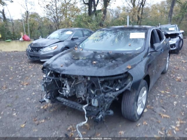 2019 CHEVROLET MALIBU 1G1ZB5ST2KF192441 Photo 1