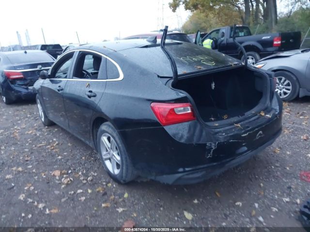 2019 CHEVROLET MALIBU 1G1ZB5ST2KF192441 Photo 2