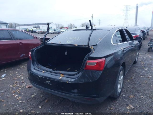 2019 CHEVROLET MALIBU 1G1ZB5ST2KF192441 Photo 3