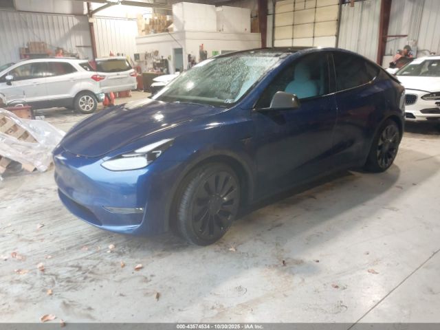 2021 TESLA MODEL Y 5YJYGDEF1MF201786 Photo 1