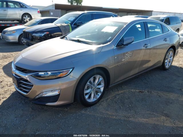 2022 CHEVROLET MALIBU 1G1ZD5ST9NF113846 Photo 1