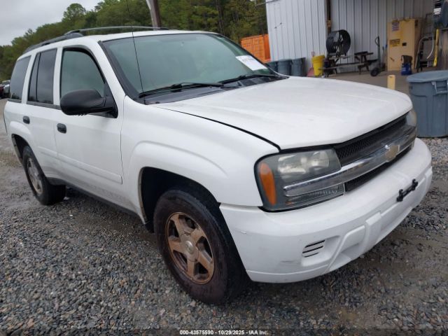 2006 CHEVROLET TRAILBLAZER 1GNDT13S762276319