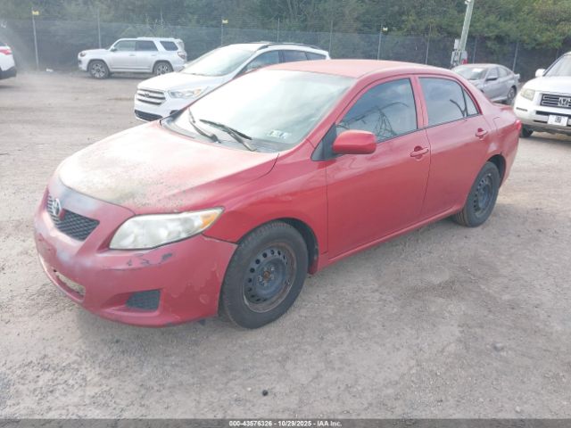 2010 TOYOTA COROLLA 1NXBU4EE2AZ336621 Photo 1