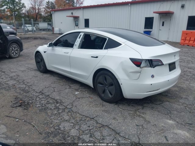 2019 TESLA MODEL 3 5YJ3E1EB9KF493972 Photo 2