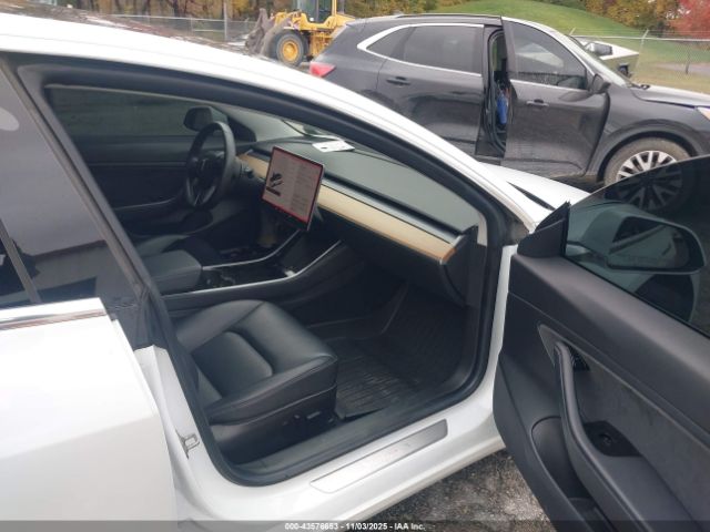 2019 TESLA MODEL 3 5YJ3E1EB9KF493972 Photo 4