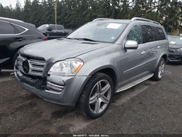 2010 MERCEDES-BENZ GL 550 4JGBF8GE0AA538731 Photo 1