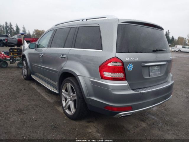 2010 MERCEDES-BENZ GL 550 4JGBF8GE0AA538731 Photo 2