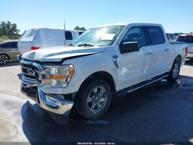 2023 FORD F-150 1FTEW1C57PKF55463 Photo 1
