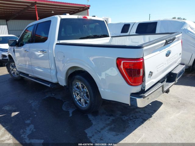 2023 FORD F-150 1FTEW1C57PKF55463 Photo 2