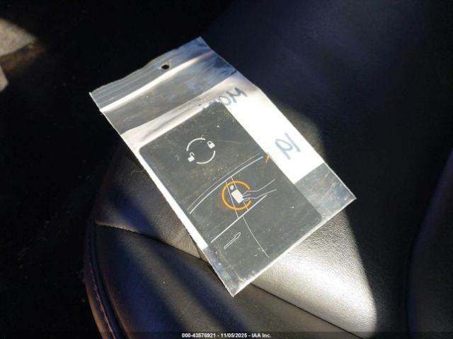 2019 TESLA MODEL 3 5YJ3E1EA0KF299032 Photo 10