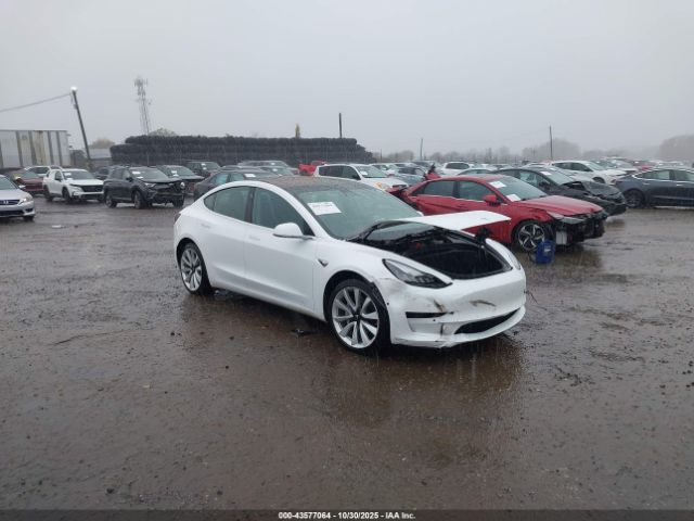 2019 TESLA MODEL 3 5YJ3E1EA0KF327038 Photo 0