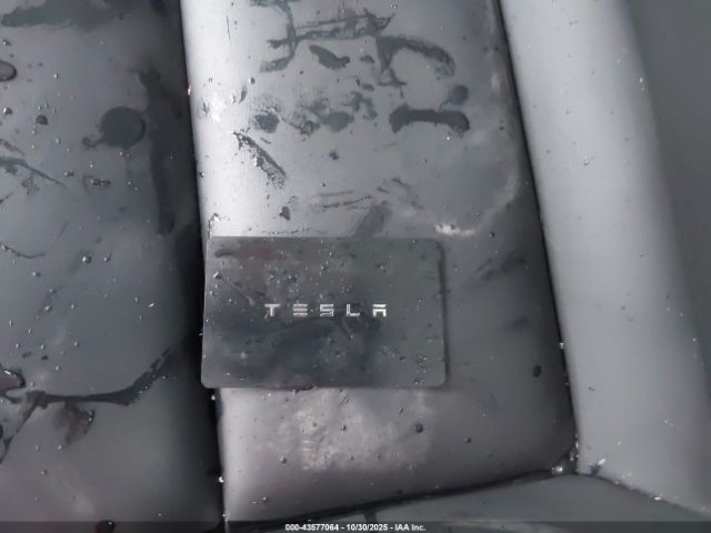 2019 TESLA MODEL 3 5YJ3E1EA0KF327038 Photo 10