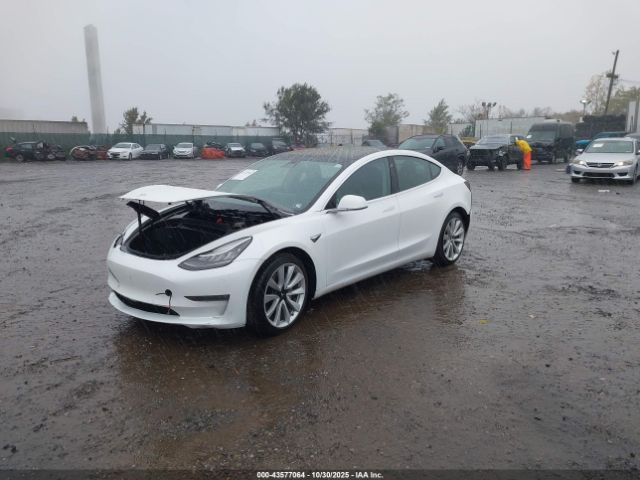 2019 TESLA MODEL 3 5YJ3E1EA0KF327038 Photo 1