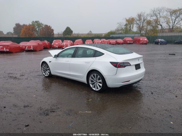 2019 TESLA MODEL 3 5YJ3E1EA0KF327038 Photo 2