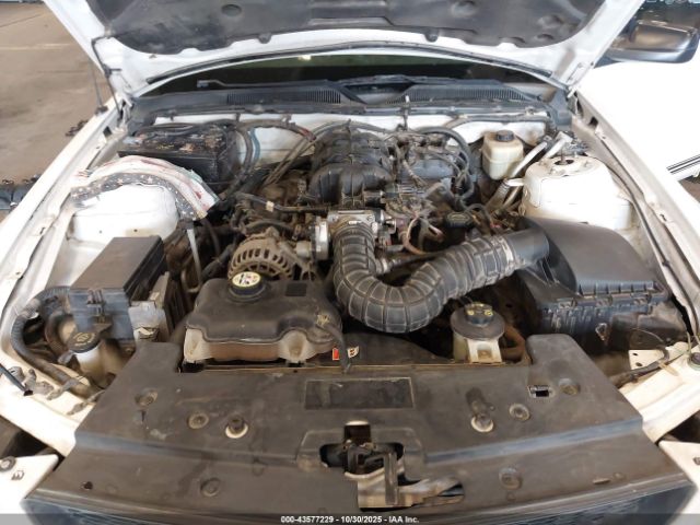 2008 FORD MUSTANG 1ZVHT84N585178948 Photo 9