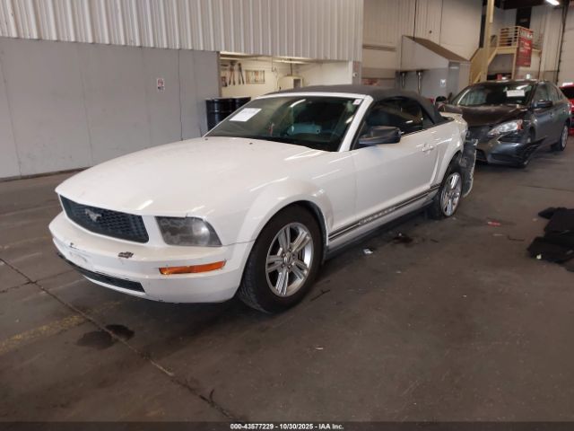 2008 FORD MUSTANG 1ZVHT84N585178948 Photo 1