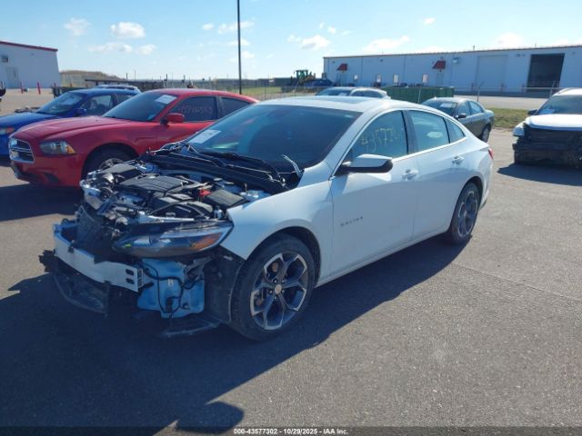 2024 CHEVROLET MALIBU 1G1ZD5ST4RF203928 Photo 1
