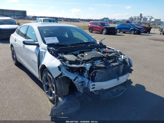 2024 CHEVROLET MALIBU 1G1ZD5ST4RF203928 Photo 5