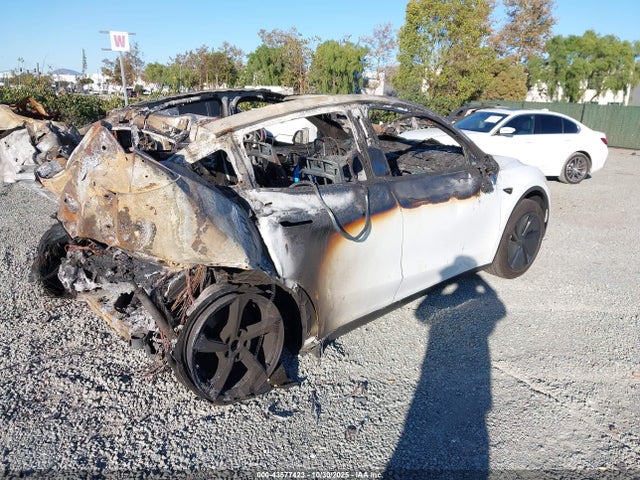 2026 TESLA MODEL Y 7SAYGDED2TF399701 Photo 3