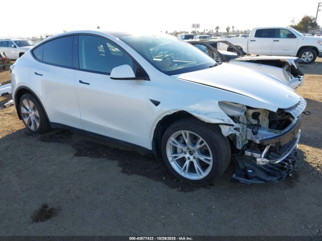 2021 TESLA MODEL Y 5YJYGDEE4MF222977