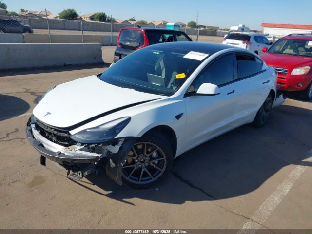 2023 TESLA MODEL 3 5YJ3E1EB0PF592039 Photo 1