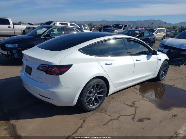 2023 TESLA MODEL 3 5YJ3E1EB0PF592039 Photo 3