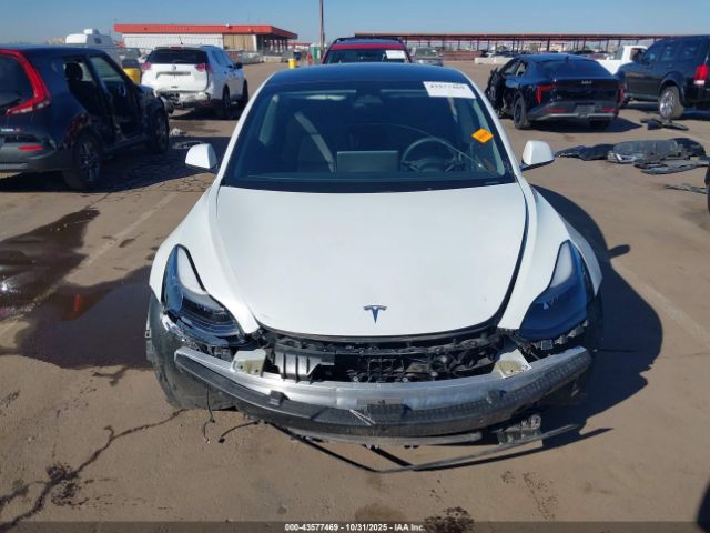 2023 TESLA MODEL 3 5YJ3E1EB0PF592039 Photo 5