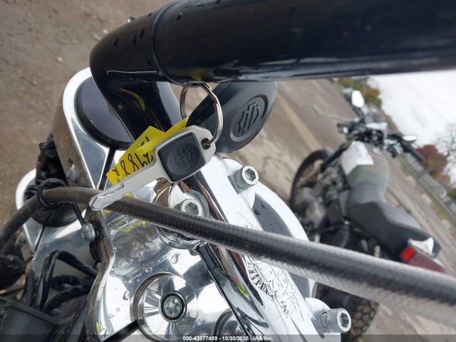 2019 HARLEY-DAVIDSON FLSB 1HD1YMJ23KB064253 Photo 10