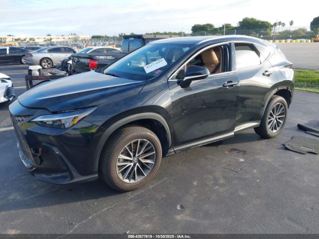 2024 LEXUS NX 250 2T2ADCAZ3RC014478 Photo 1