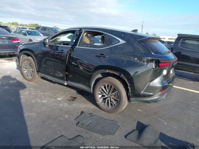 2024 LEXUS NX 250 2T2ADCAZ3RC014478 Photo 2