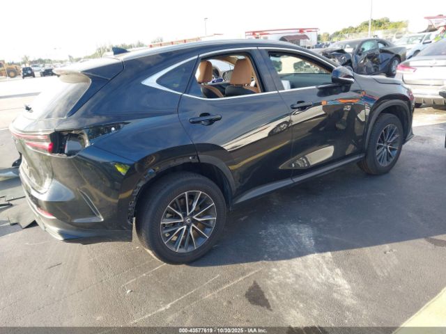 2024 LEXUS NX 250 2T2ADCAZ3RC014478 Photo 3