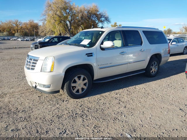 2007 CADILLAC ESCALADE ESV 1GYFK66827R195765 Photo 1