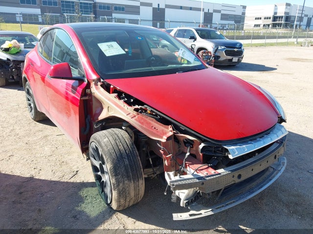 2023 TESLA MODEL Y 7SAYGDEE1PA075506 Photo 0