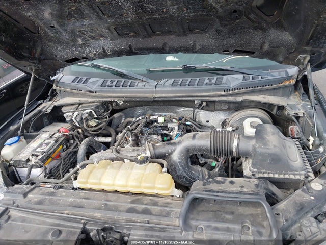 Продаж на аукціоні авто 2019 Ford F-150 Xl, vin: 1FTEW1CP5KKC85191, номер лоту: 43578163